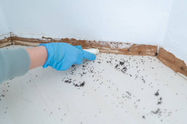 Best Pest Prevention Services  in Belgium, WI